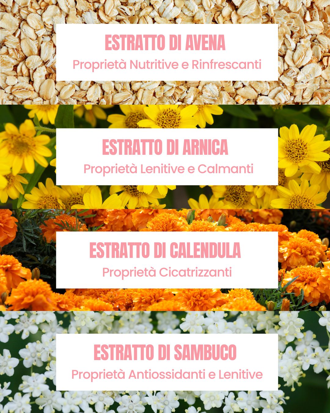All Clean by Essere Bio actives: nourishing, soothing oat, arnica, calendula and elderflower extracts