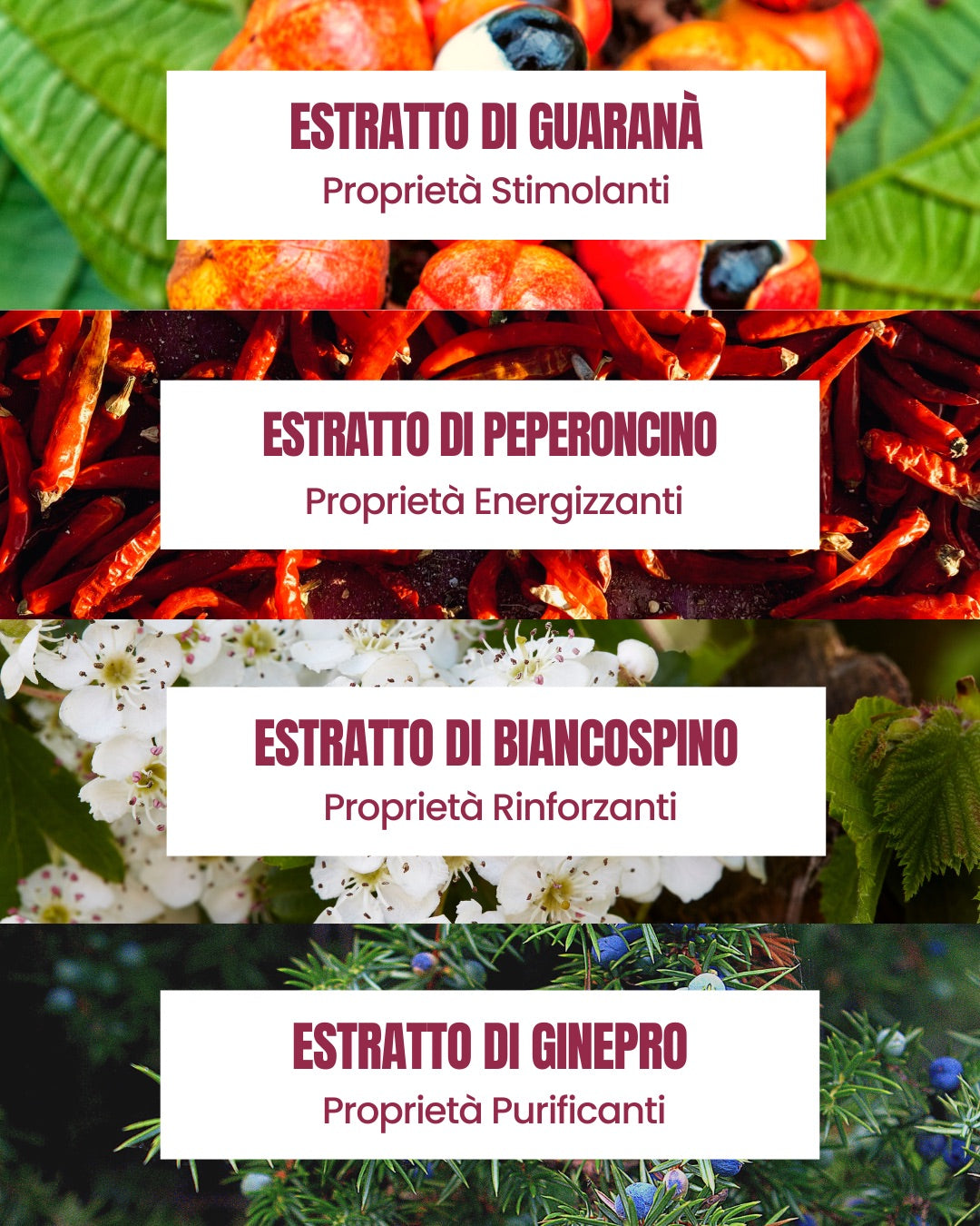 Attivi del Kit Be Perfect Repair Essere Bio: estratto di peperoncino energizzante ed estratto di biancospino
