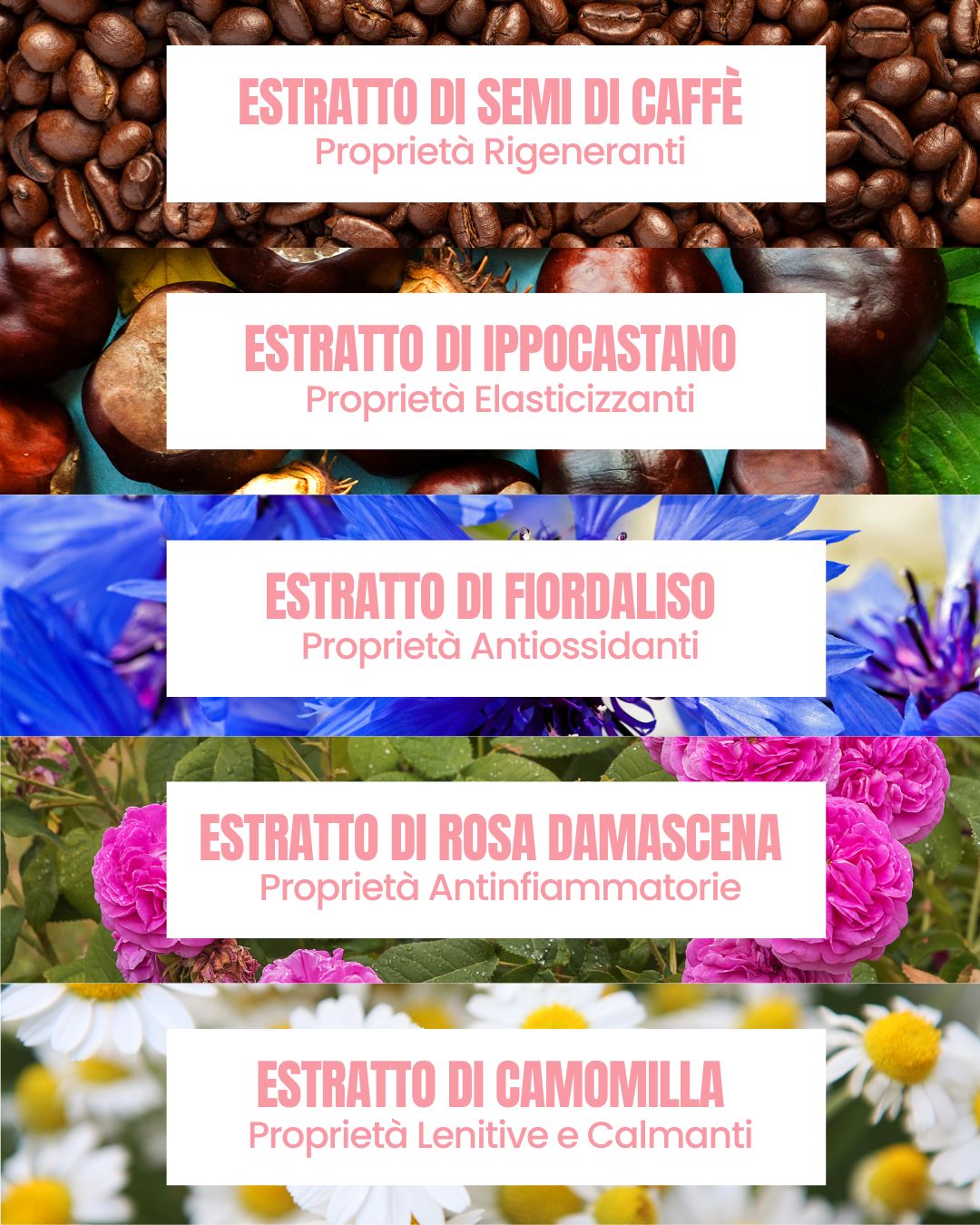 Essere Bio My Eye Bomb actives: coffee, horse chestnut, cornflower, damask rose and chamomile