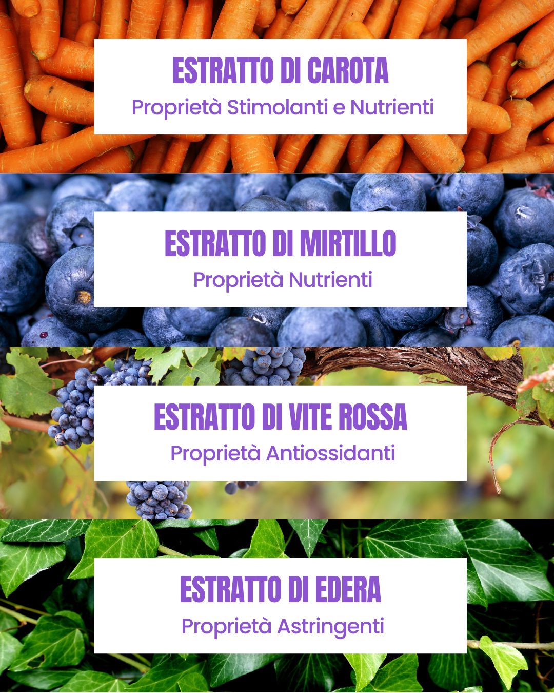 Botanical actives in Essere Bio Curly Hair Oil: carrot, blueberry, red vine and ivy extracts
