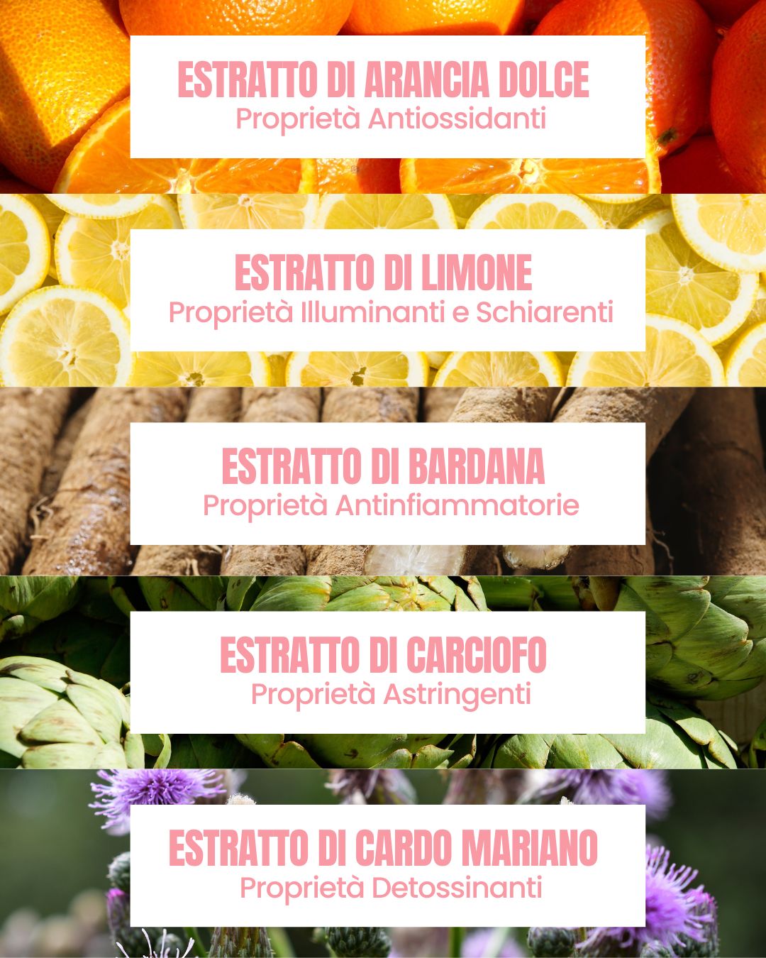 Essere Bio Perfect Balance actives: sweet orange, lemon, burdock, artichoke and milk thistle