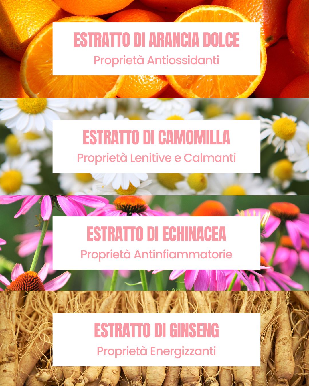 Radiance Elixir actives by Essere Bio: revitalizing sweet orange, chamomile, echinacea and ginseng