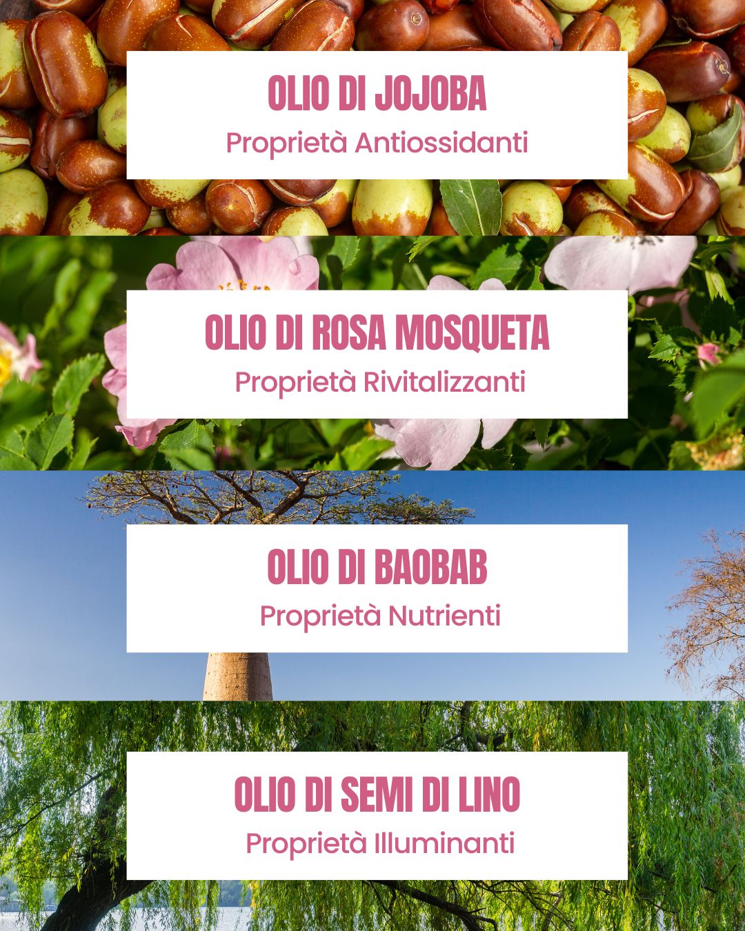 Attivi dello Spray Ravviva Lisci Essere Bio: olio di rosa mosqueta rivitalizzante e olio di baobab nutriente
