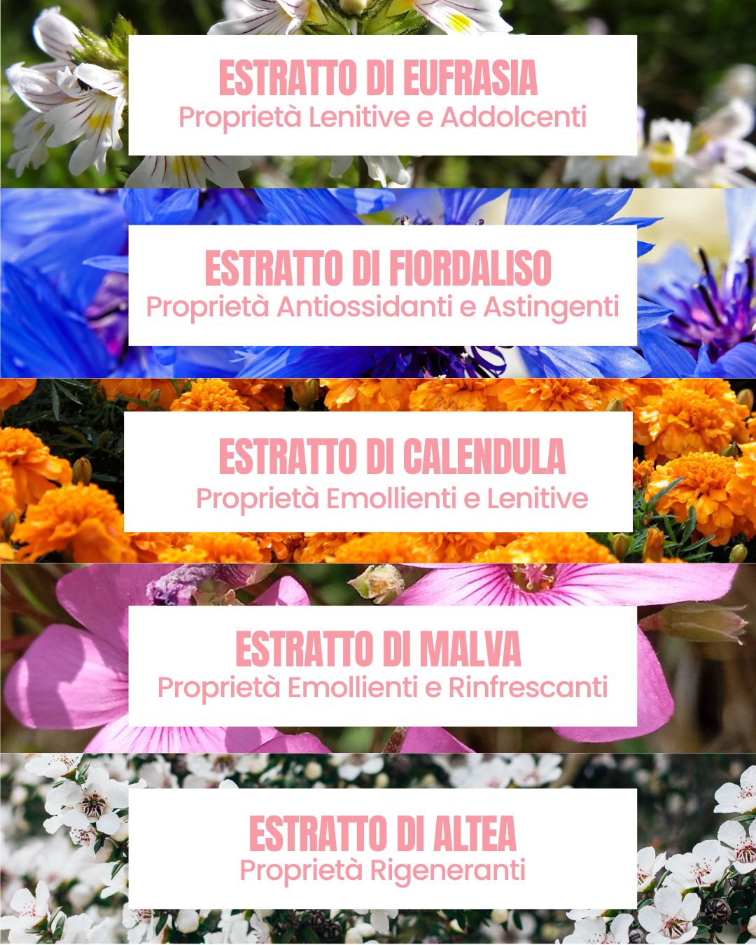 Attivi di Blue Eyes Essere Bio: estratti di eufrasia, fiordaliso, calendula, malva e altea lenitivi