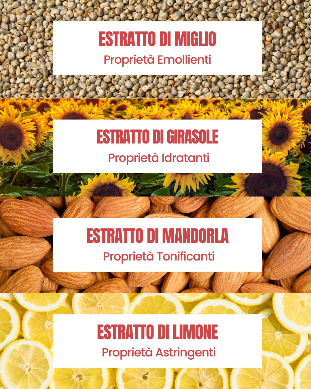 Essere Bio Co-Wash actives: emollient millet, hydrating sunflower, toning almond and astringent lemon extract