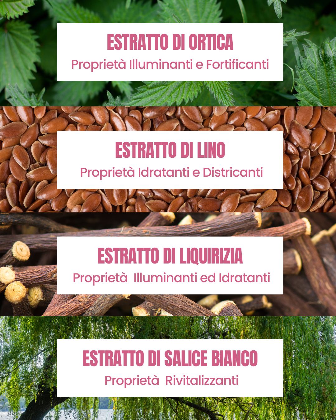Attivi della Crema Lisci Essere Bio: estratto di lino idratante ed estratto di liquirizia illuminante