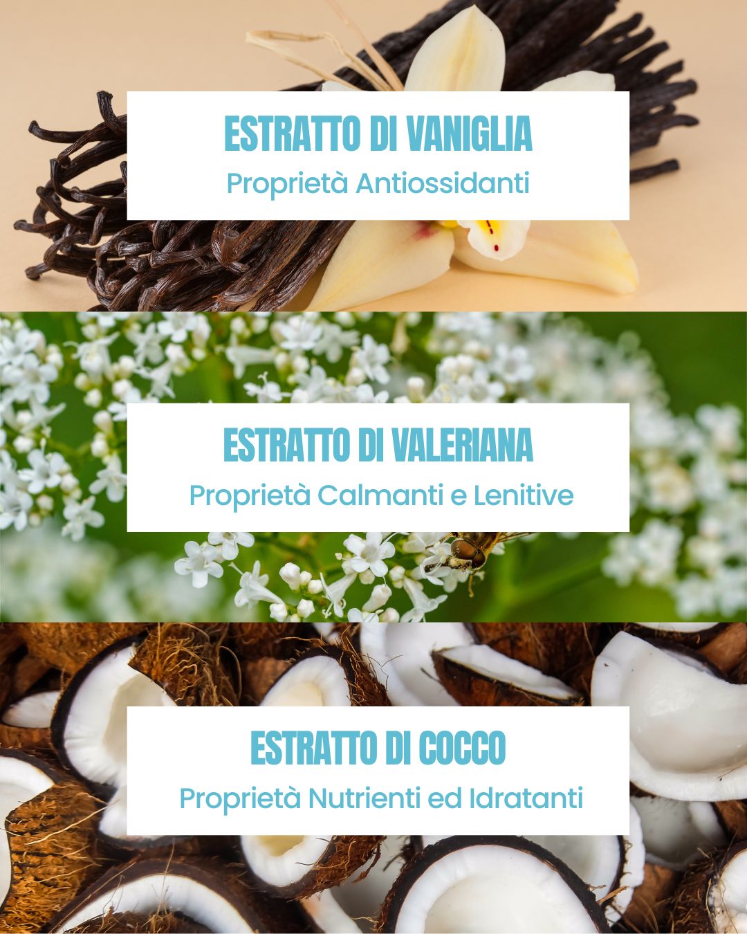Attivi della Crema Mani Vaniglia Essere Bio: estratti di vaniglia, valeriana lenitiva e cocco nutriente e idratante
