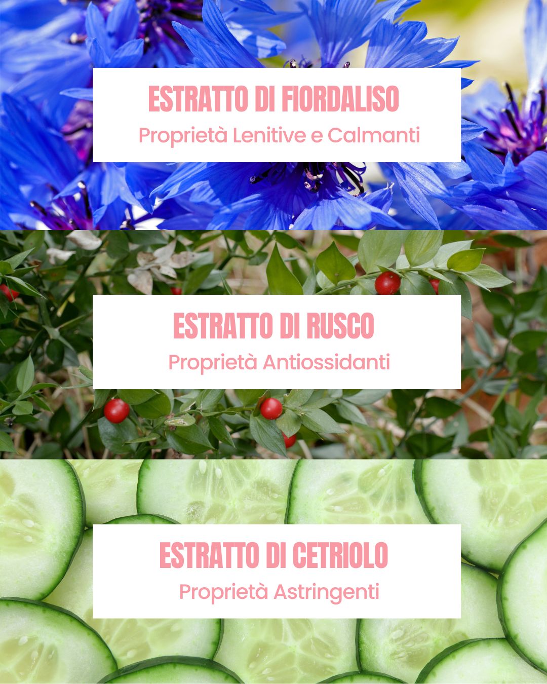 Attivi di Deja Blue Essere Bio: estratti di fiordaliso, rusco e cetriolo lenitivi e defaticanti