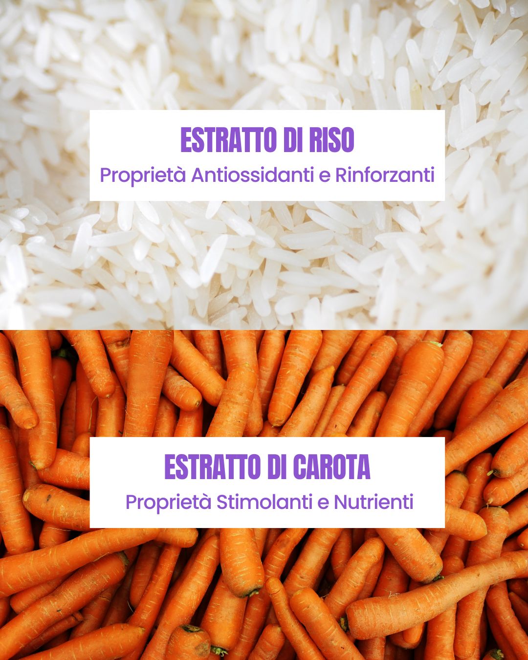 Attivi botanici del Gel Ricci Essere Bio: estratti di riso e carota per capelli ricci luminosi