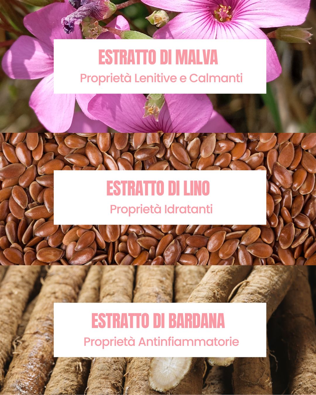 Hydra H2O Essere Bio actives: hydrating, emollient mallow, flax and burdock extracts for the face