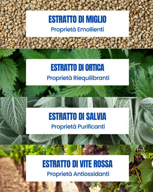 Essere Bio Be Perfect Regrowth line actives: millet, nettle, sage and red vine extracts for scalp and hair