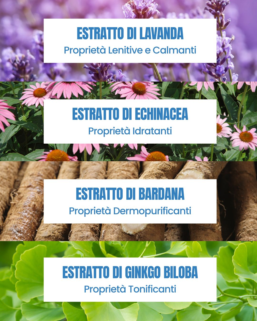 Attivi del Latte Corpo Essere Bio: lavanda calmante, echinacea idratante, bardana dermopurificante e ginkgo biloba