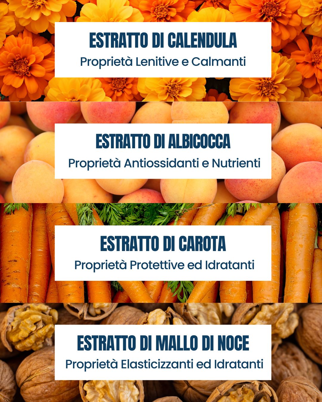 Attivi doposole della linea Marine Essere Bio: estratti di calendula, albicocca, carota e mallo di noce