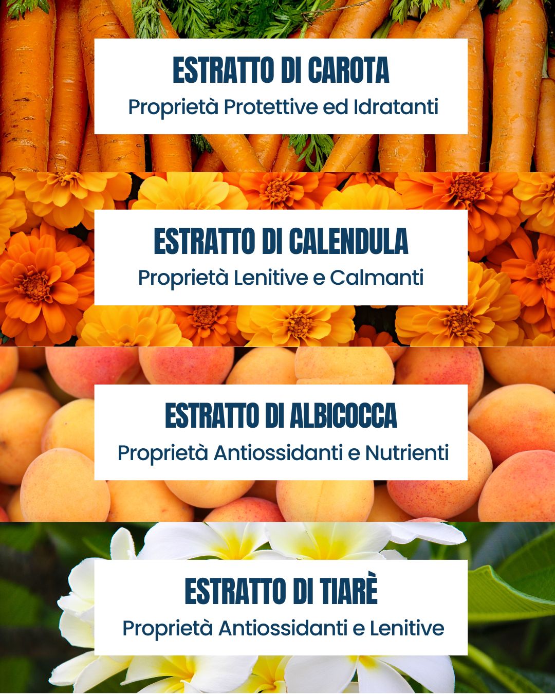 Attivi del Latte Solare Baby Essere Bio: estratti di carota, calendula, albicocca e tiarè delicati sulla pelle