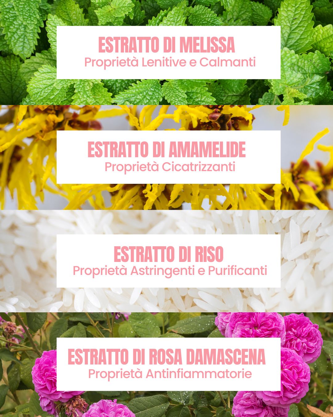 Essere Bio My Cloud actives: purifying lemon balm, witch hazel, rice and damask rose extracts
