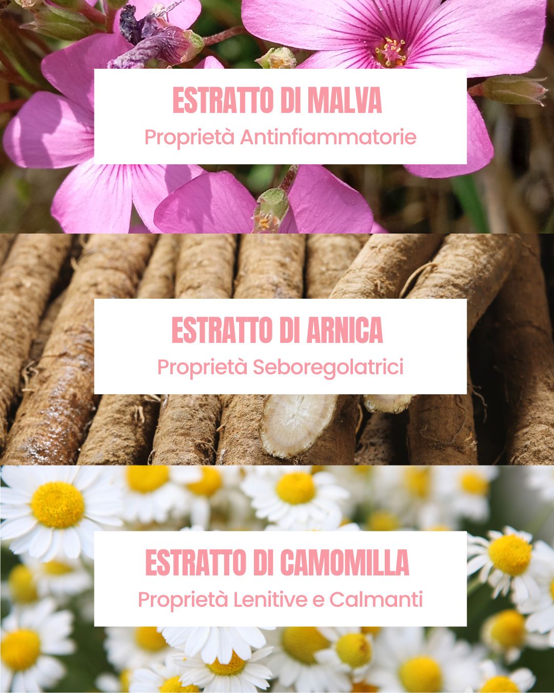 Pure Skin actives by Essere Bio: soothing, sebum-regulating mallow, arnica and chamomile extracts