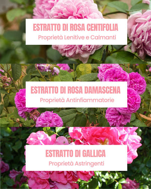Rose Infusion actives by Essere Bio: soothing, toning centifolia, damask and gallica rose water