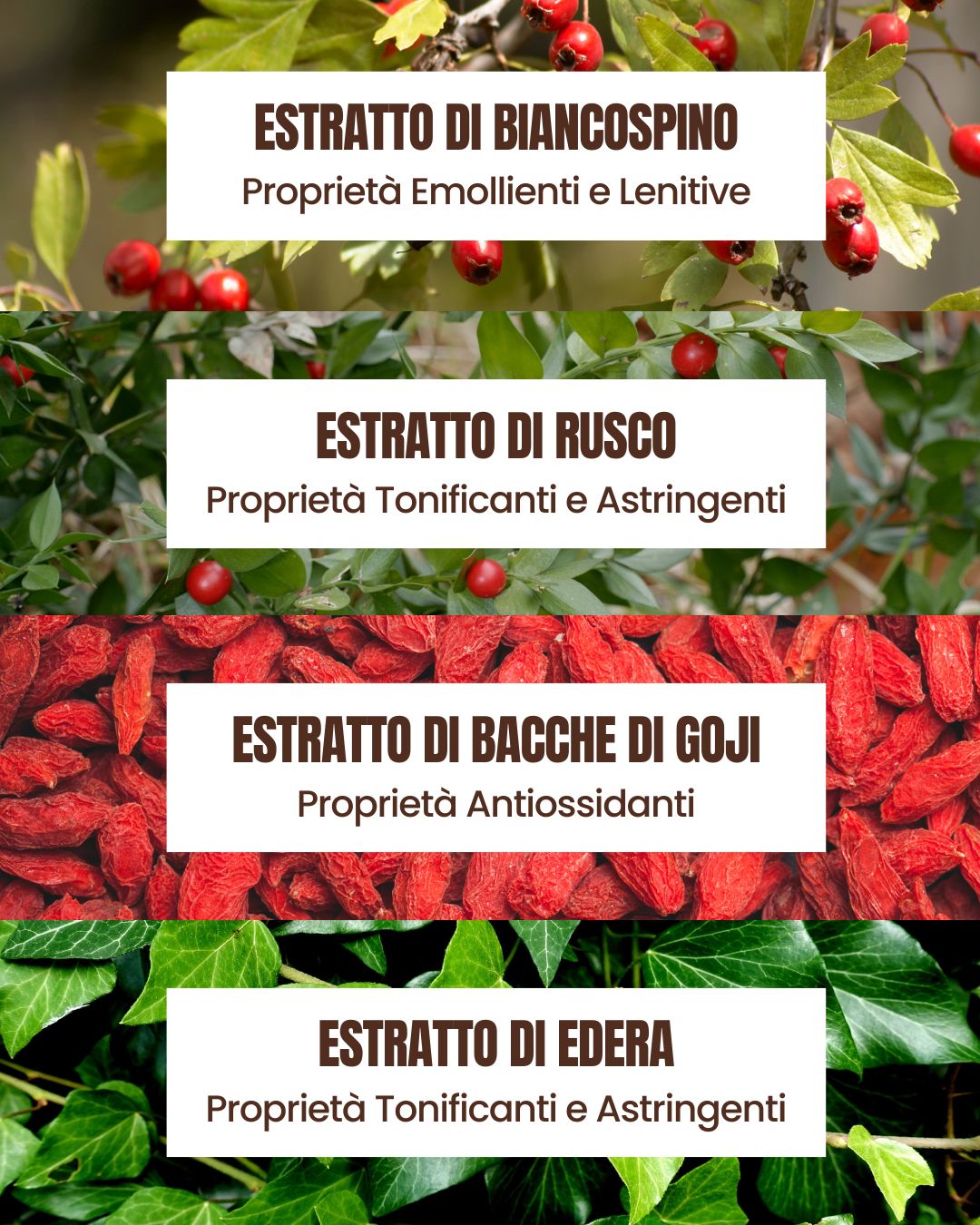 Attivi del Sapone Mani Delicato Essere Bio: biancospino, rusco, bacche di goji ed edera lenitivi e tonificanti