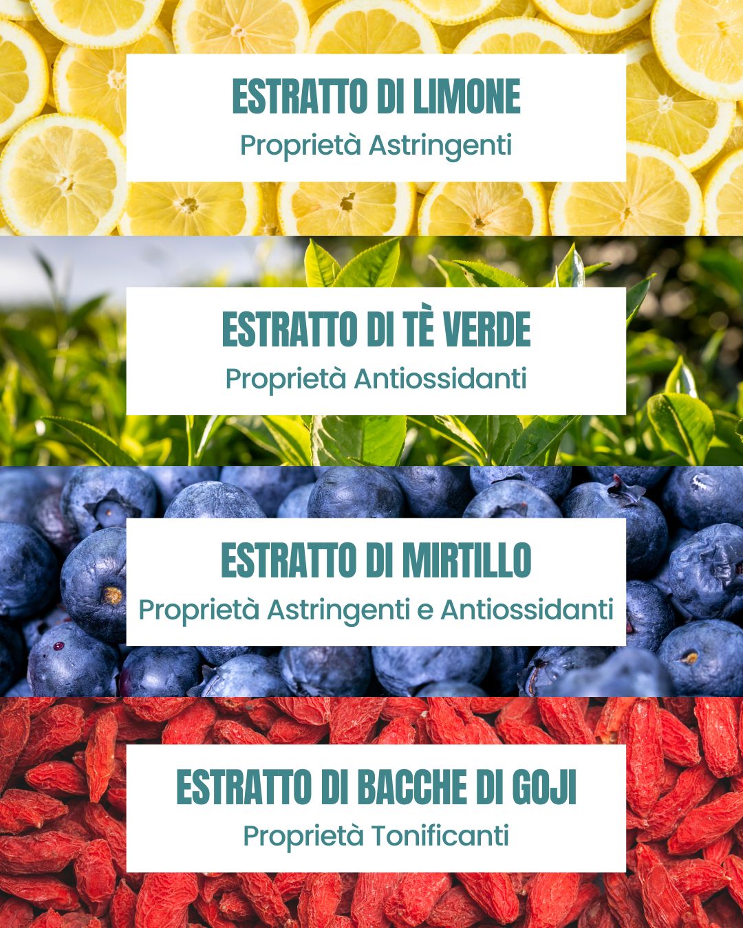 Attivi dello Shampoo Antiossidante Essere Bio: limone astringente, tè verde e mirtillo antiossidanti, bacche di goji toniche