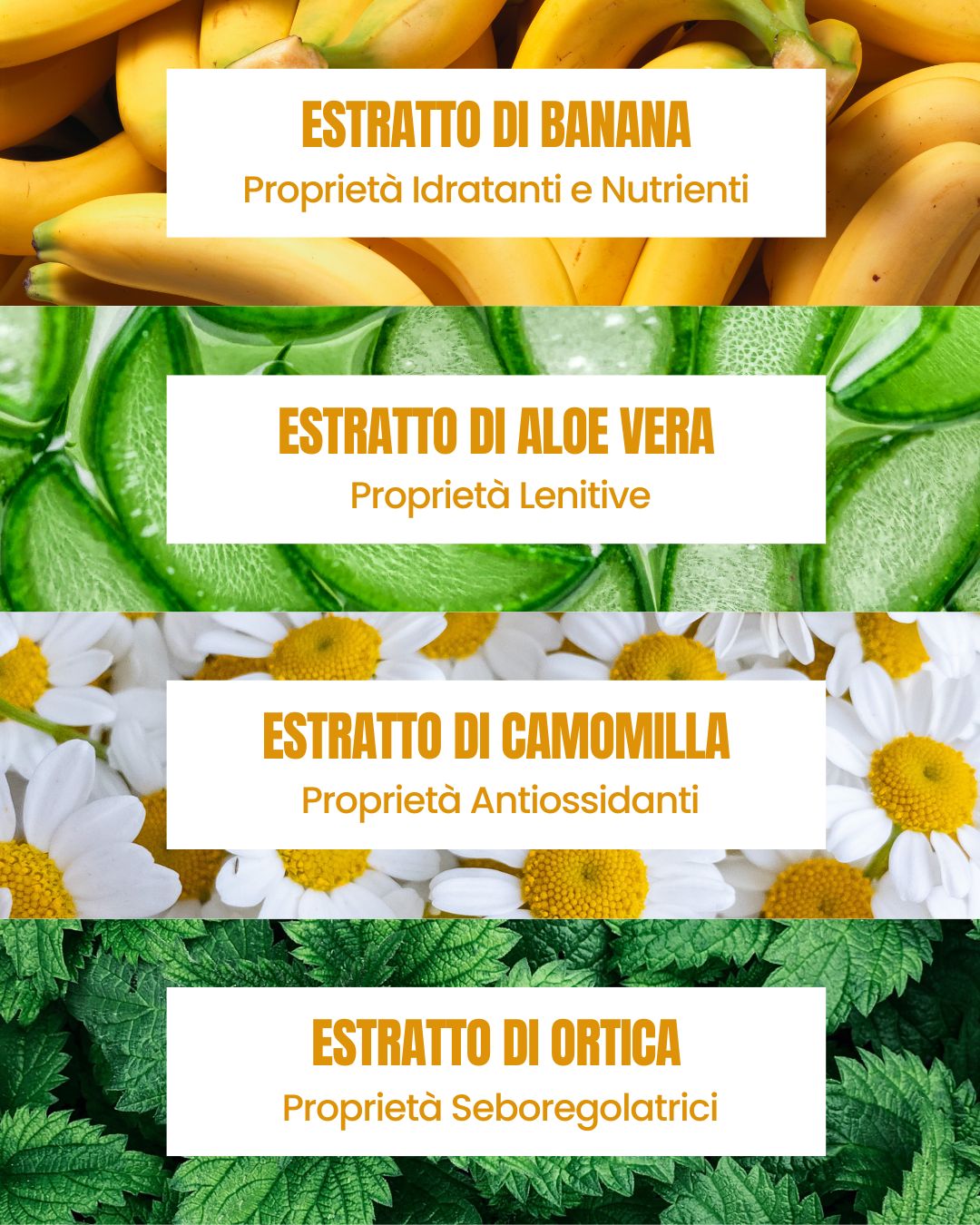 Attivi dello Shampoo Banana Essere Bio: banana idratante, aloe lenitiva, camomilla antiossidante e ortica seboregolatrice