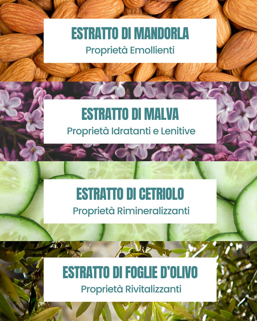 Attivi dello Shampoo Idratante Essere Bio: mandorla, malva idratante, cetriolo rimineralizzante e olivo rivitalizzante
