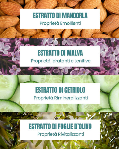 Attivi dello Shampoo Idratante Essere Bio: mandorla, malva idratante, cetriolo rimineralizzante e olivo rivitalizzante