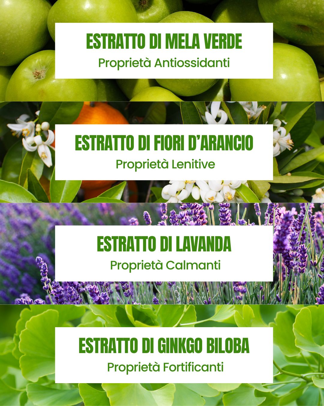 Essere Bio Green Apple Shampoo actives: antioxidant green apple, soothing orange, calming lavender and ginkgo biloba