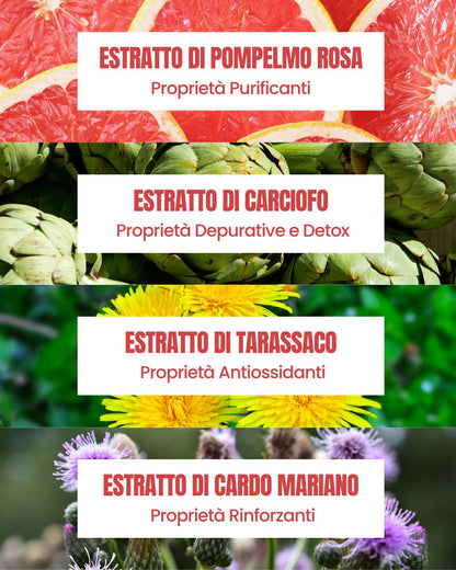 Attivi dello Shampoo Pompelmo Essere Bio: pompelmo rosa purificante, carciofo detox, tarassaco antiossidante e cardo mariano