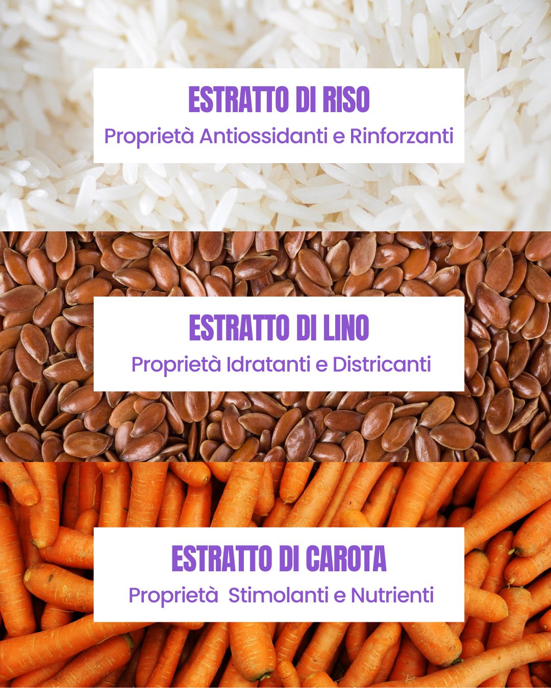 Attivi botanici dello Shampoo Ricci Essere Bio: estratti di riso, lino e carota per capelli ricci