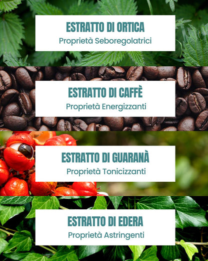 Attivi dello Shampoo Rigenerante Essere Bio: ortica seboregolatrice, caffè energizzante, guaranà tonico ed edera astringente