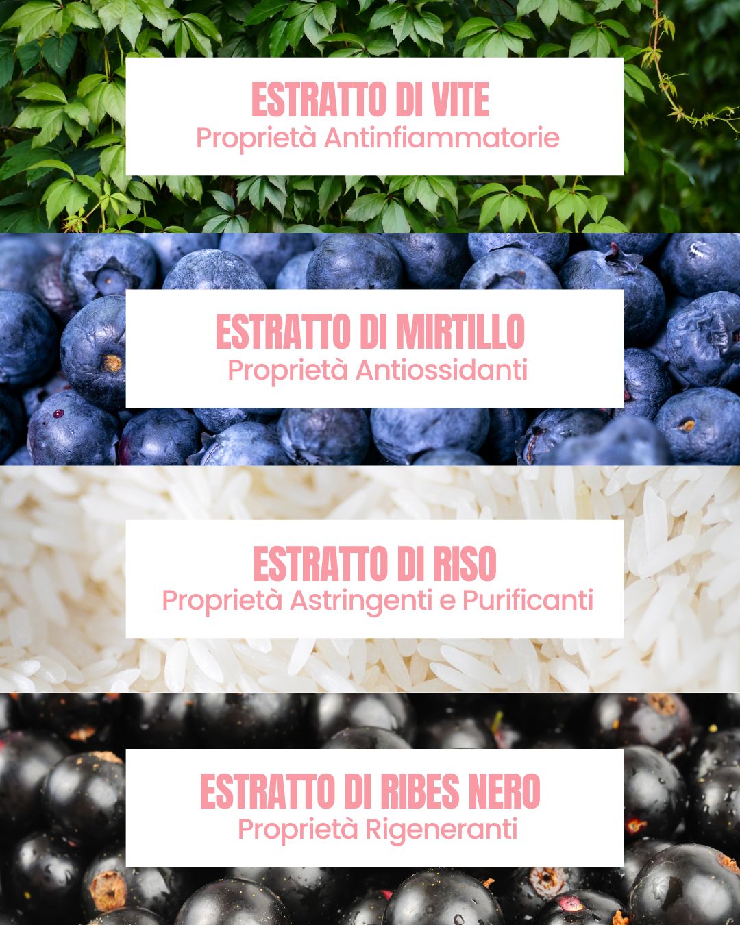 Essere Bio Sweet Sugar actives: exfoliating and soothing grape leaf, blueberry, rice and black currant extracts
